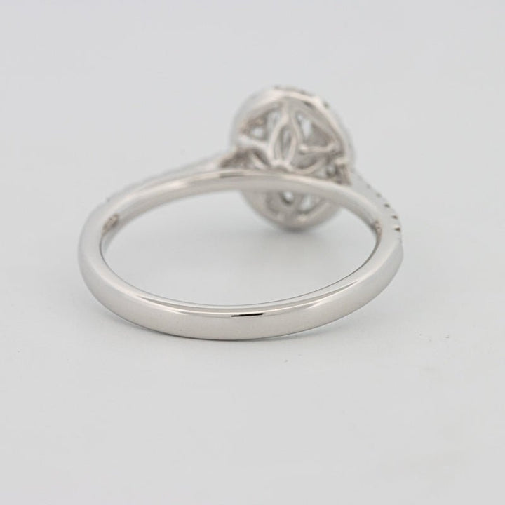 1 CT Oval Cut Halo Pavé Solitaire (LG) - ZIZOV DIAMONDS