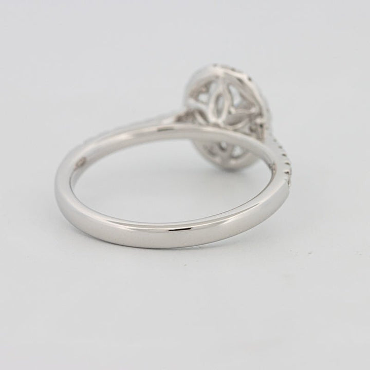 1 CT Oval Cut Halo Pavé Solitaire (LG) - ZIZOV DIAMONDS