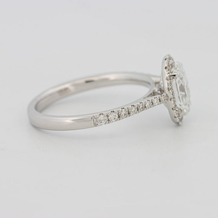 1 CT Oval Cut Halo Pavé Solitaire (LG) - ZIZOV DIAMONDS