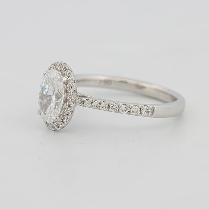 1 CT Oval Cut Halo Pavé Solitaire (LG) - ZIZOV DIAMONDS