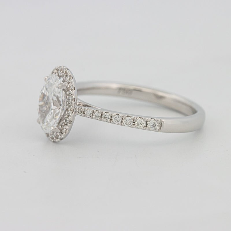 1 CT Oval Cut Halo Pavé Solitaire (LG) - ZIZOV DIAMONDS