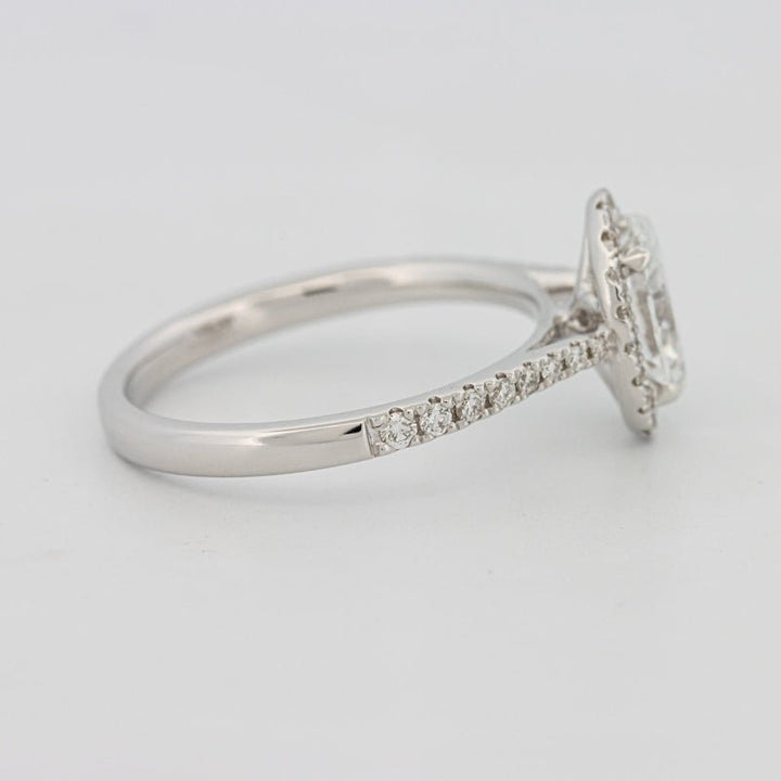 1 CT Oval Cut Halo Pavé Solitaire (LG) - ZIZOV DIAMONDS