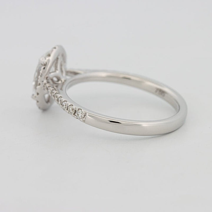 1 CT Oval Cut Halo Pavé Solitaire (LG) - ZIZOV DIAMONDS