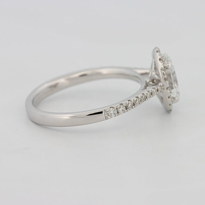 1 CT Oval Cut Halo Pavé Solitaire (LG) - ZIZOV DIAMONDS