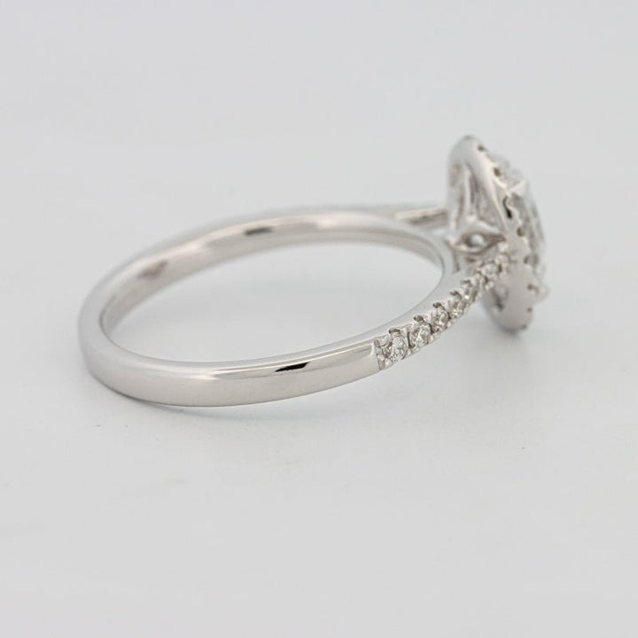 1 CT Oval Cut Halo Pavé Solitaire (LG) - ZIZOV DIAMONDS