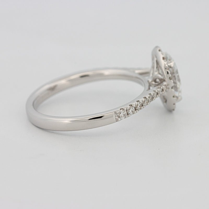 1 CT Oval Cut Halo Pavé Solitaire (LG) - ZIZOV DIAMONDS