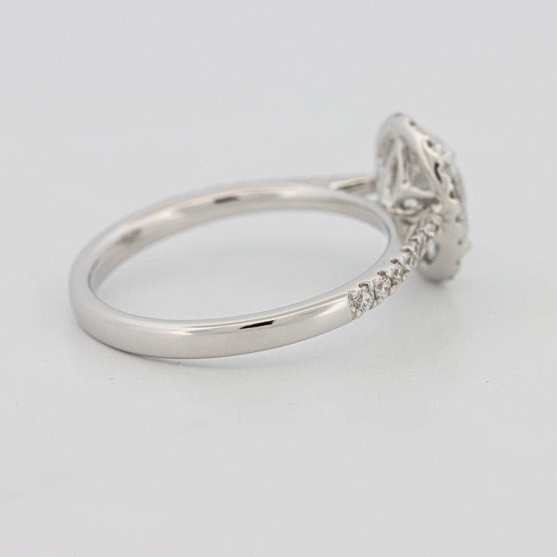 1 CT Oval Cut Halo Pavé Solitaire (LG) - ZIZOV DIAMONDS