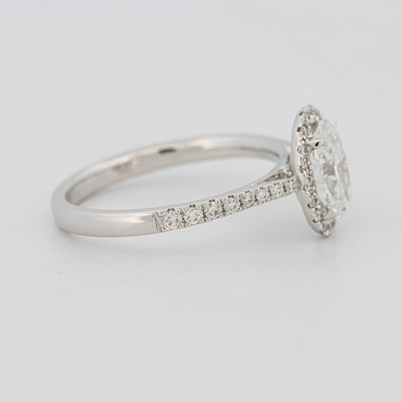 1 CT Oval Cut Halo Pavé Solitaire (LG) - ZIZOV DIAMONDS