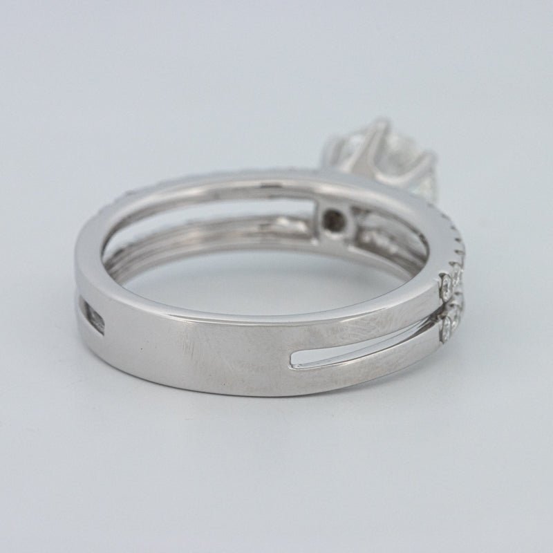 1 CT Round Cut Double Band Pavé Ring (LG) - ZIZOV DIAMONDS