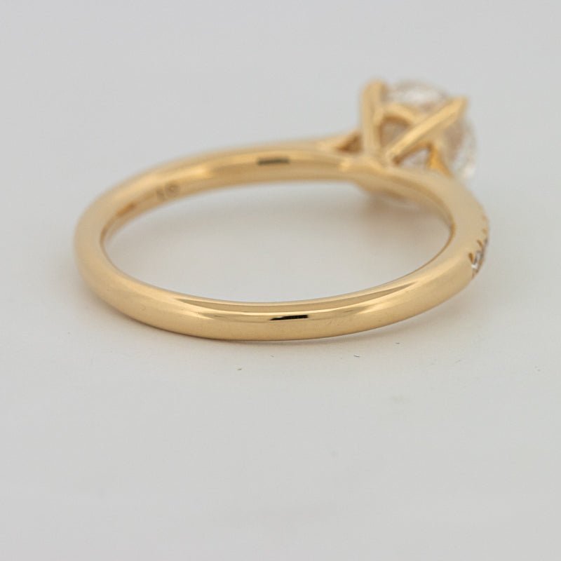 1 CT Round Cut Pavé Solitaire (LG) - ZIZOV DIAMONDS