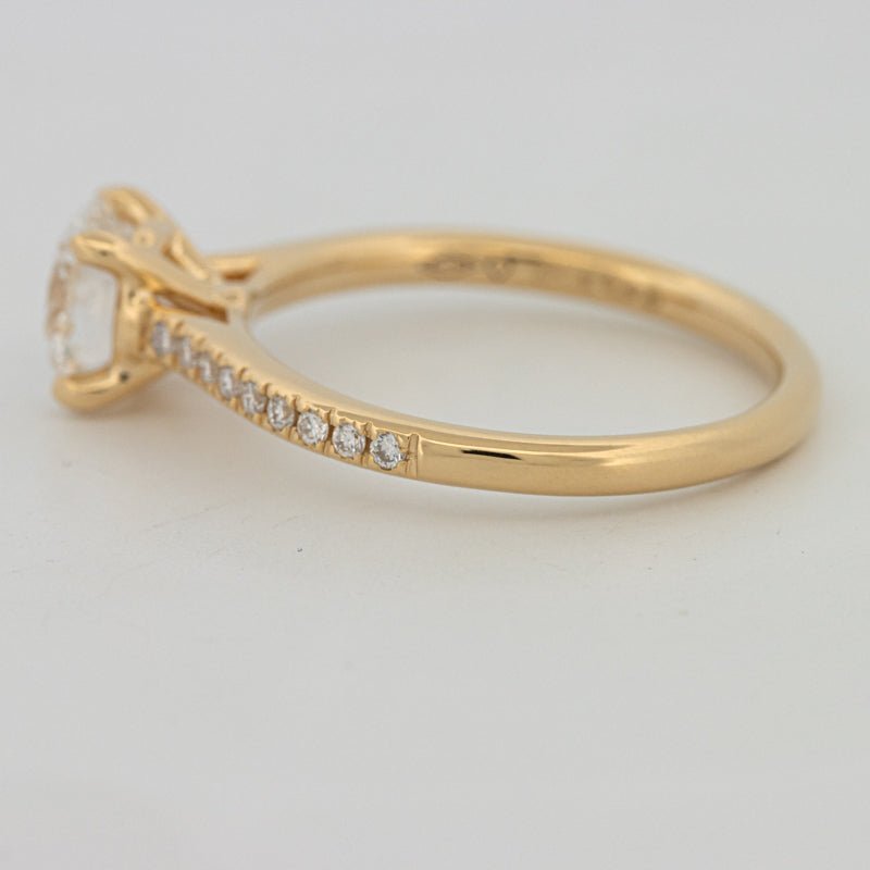 1 CT Round Cut Pavé Solitaire (LG) - ZIZOV DIAMONDS