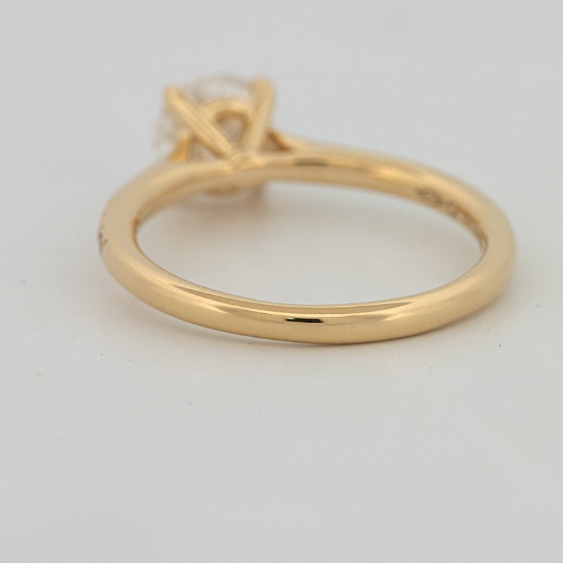 1 CT Round Cut Pavé Solitaire (LG) - ZIZOV DIAMONDS