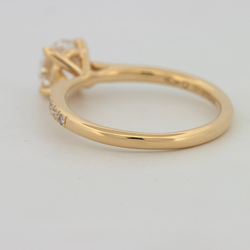 1 CT Round Cut Pavé Solitaire (LG) - ZIZOV DIAMONDS