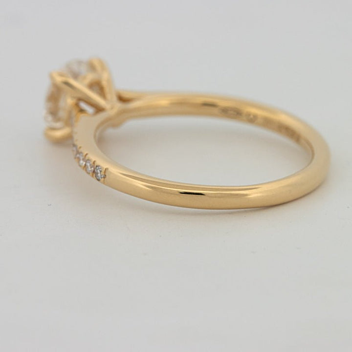 1 CT Round Cut Pavé Solitaire (LG) - ZIZOV DIAMONDS