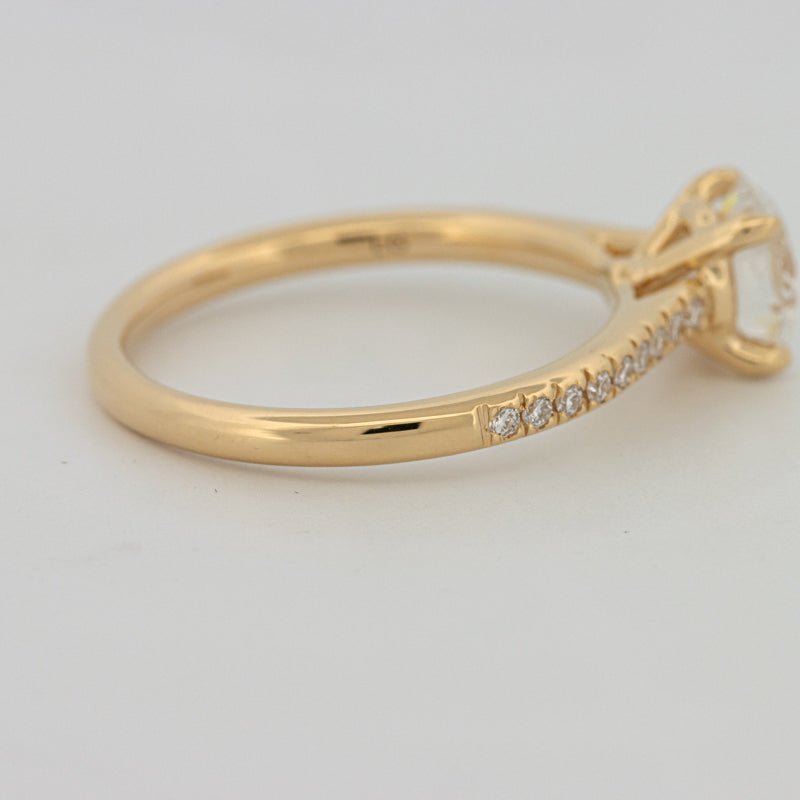 1 CT Round Cut Pavé Solitaire (LG) - ZIZOV DIAMONDS