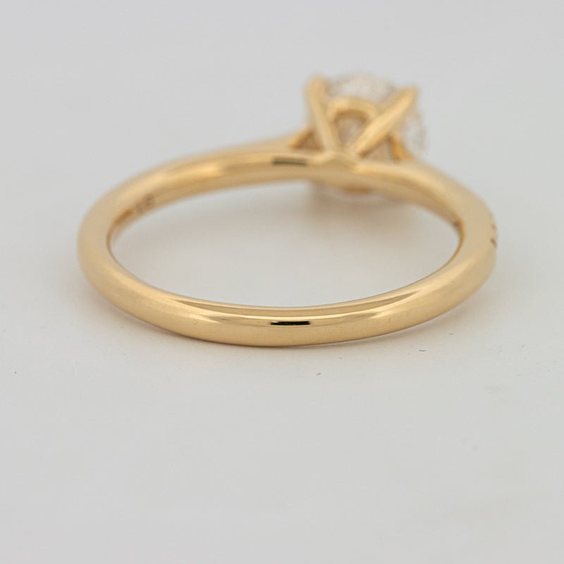 1 CT Round Cut Pavé Solitaire (LG) - ZIZOV DIAMONDS