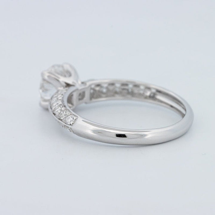 1 CT Round Cut Pavé Solitaire (LG) - ZIZOV DIAMONDS