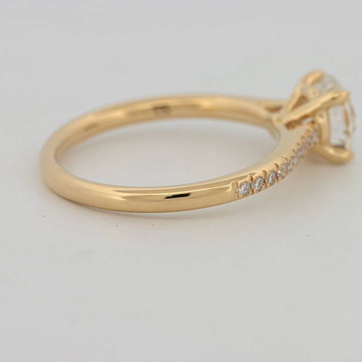 1 CT Round Cut Pavé Solitaire (LG) - ZIZOV DIAMONDS