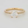 1 CT Round Cut Pavé Solitaire (LG) - ZIZOV DIAMONDS