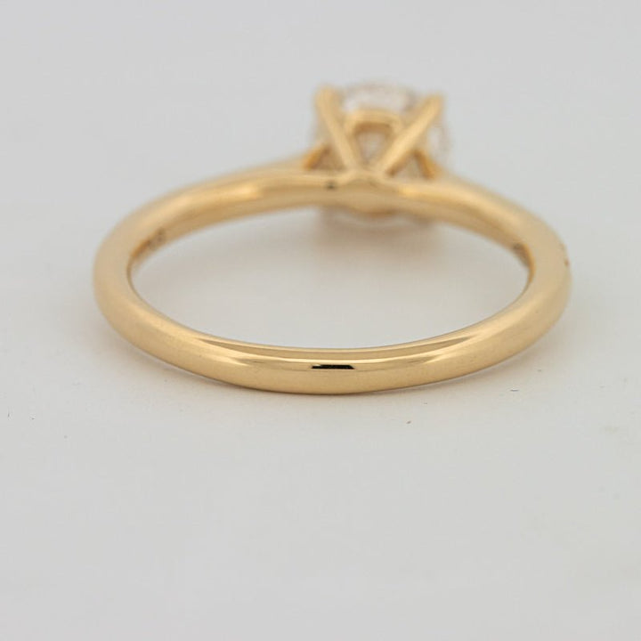 1 CT Round Cut Pavé Solitaire (LG) - ZIZOV DIAMONDS