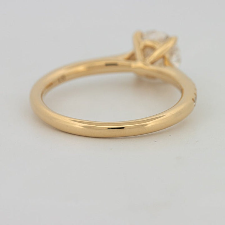 1 CT Round Cut Pavé Solitaire (LG) - ZIZOV DIAMONDS