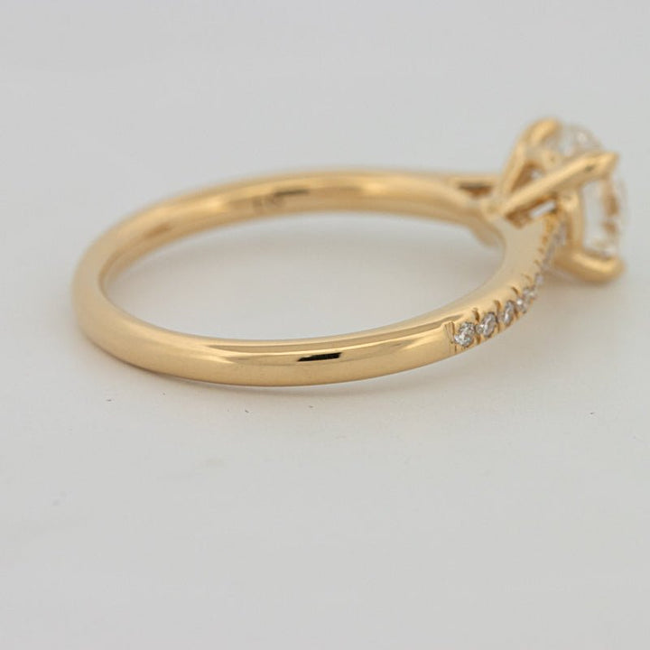 1 CT Round Cut Pavé Solitaire (LG) - ZIZOV DIAMONDS