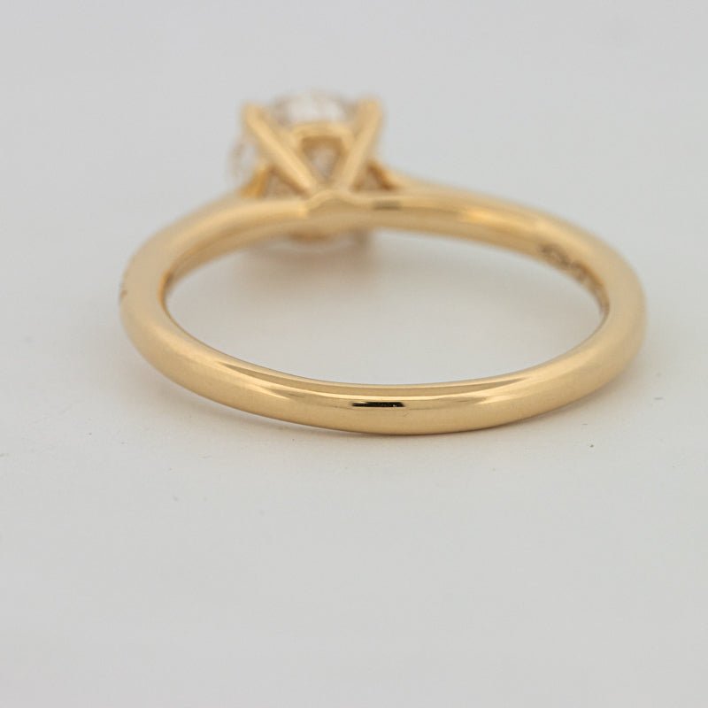 1 CT Round Cut Pavé Solitaire (LG) - ZIZOV DIAMONDS