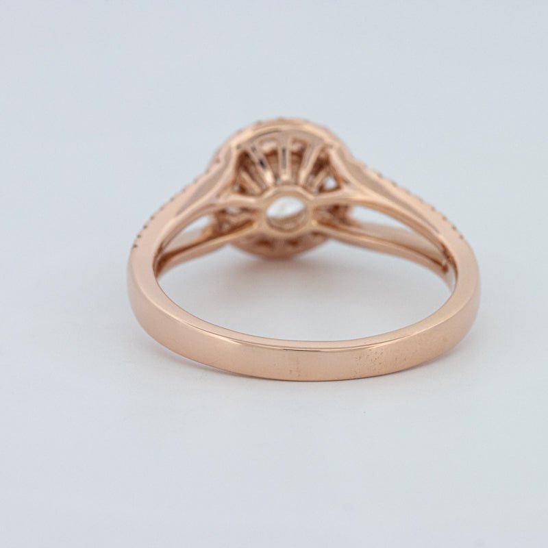 1 CT Round Cut Split Band Halo Solitaire (LG) - ZIZOV DIAMONDS