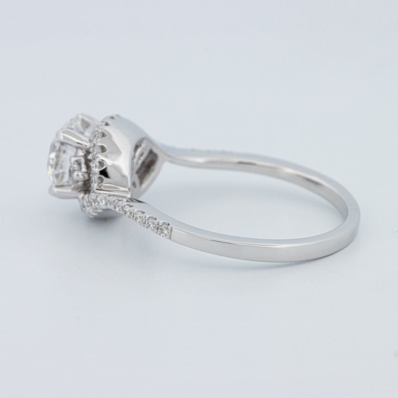 1 CT Round Cut Twist Band Pavé Solitaire (LG) - ZIZOV DIAMONDS