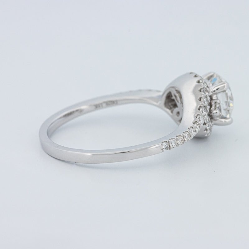 1 CT Round Cut Twist Band Pavé Solitaire (LG) - ZIZOV DIAMONDS