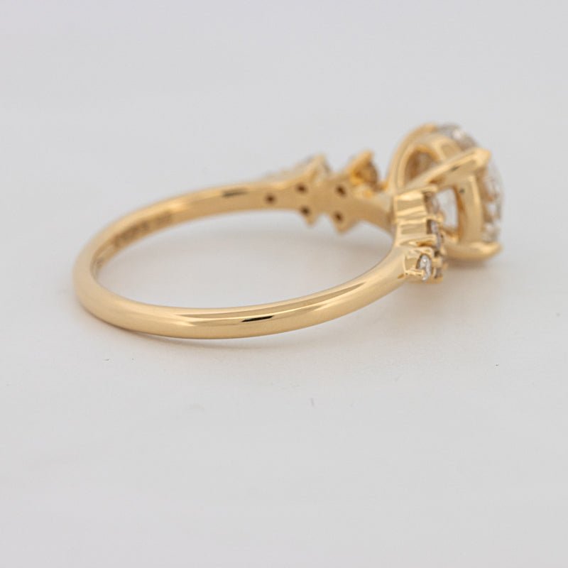 1.50 CT "Ariella" Solitaire (LG) - ZIZOV DIAMONDS