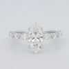 1,57 CT Marquise Cut Under - Halo Pavé Solitaire (LG) - ZIZOV DIAMONDS