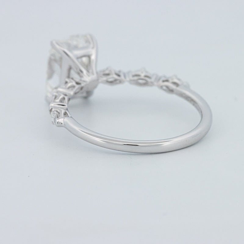 2 CT "Kaylee" Solitaire Pavé (LG) - ZIZOV DIAMONDS