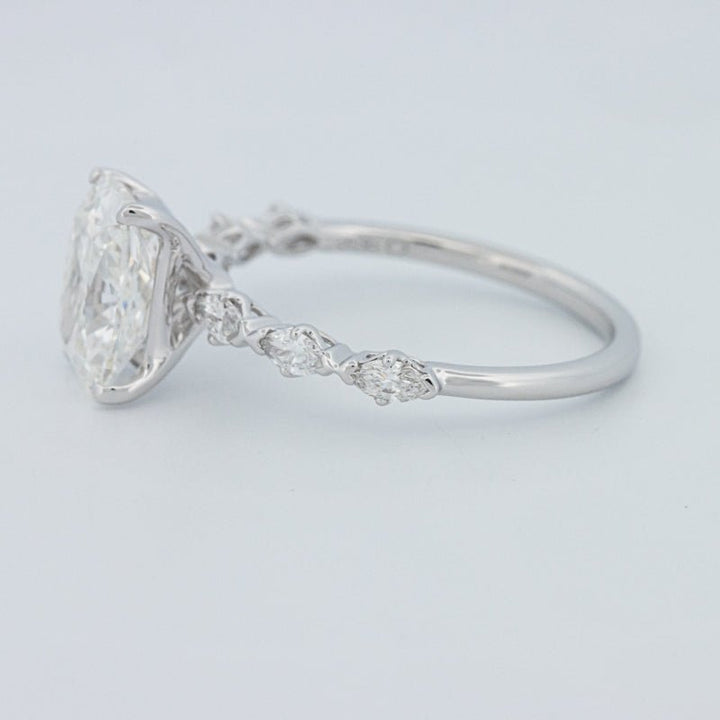 2 CT "Kaylee" Solitaire Pavé (LG) - ZIZOV DIAMONDS
