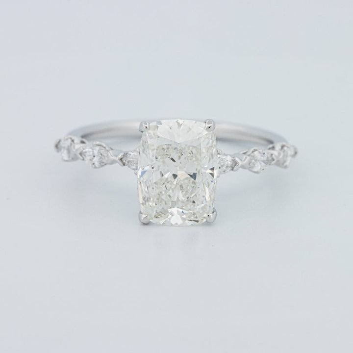 2 CT "Kaylee" Solitaire Pavé (LG) - ZIZOV DIAMONDS