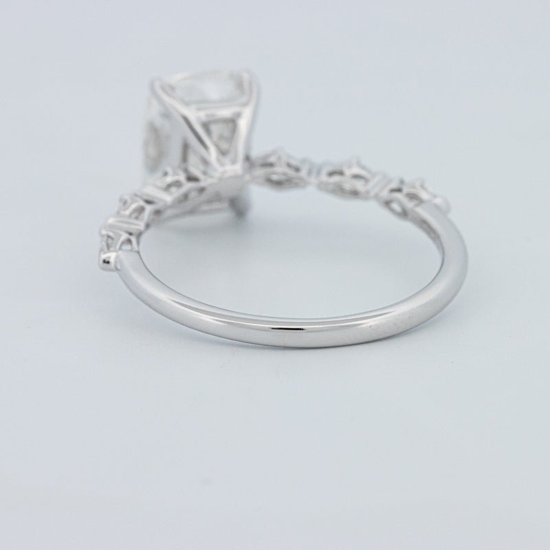 2 CT "Kaylee" Solitaire Pavé (LG) - ZIZOV DIAMONDS