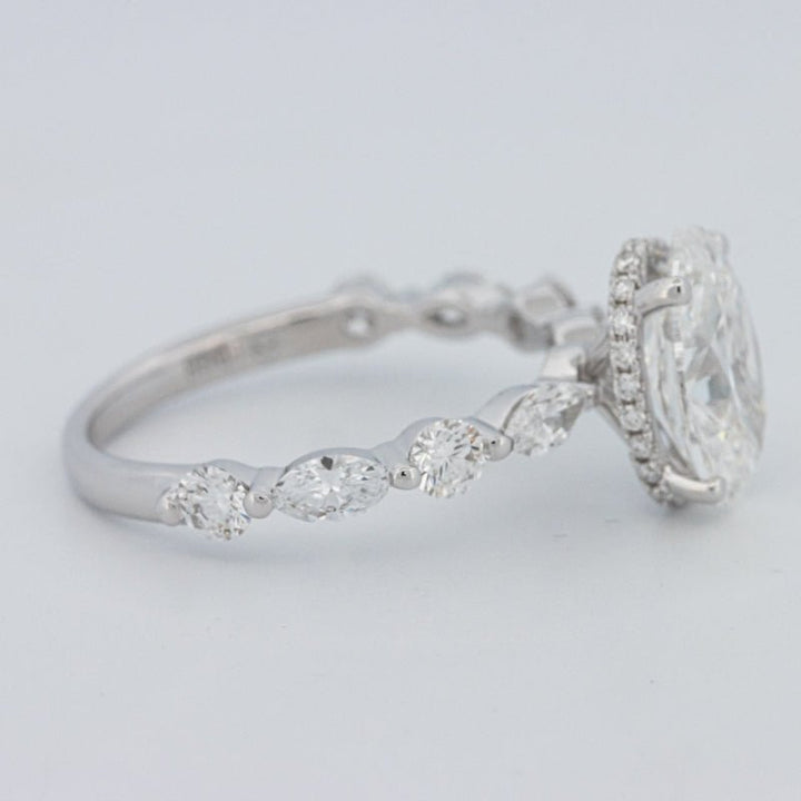 2 CT Oval Cut Under - Halo Pavé Solitaire (LG) - ZIZOV DIAMONDS