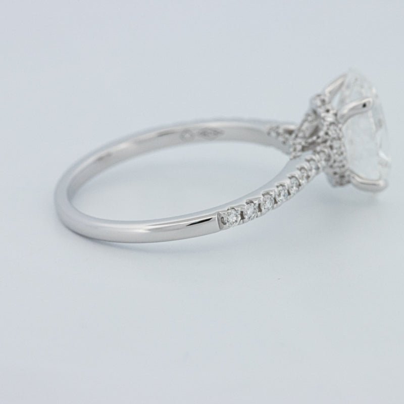 2 CT Oval Cut Under - Halo Pavé Solitaire (LG) - ZIZOV DIAMONDS