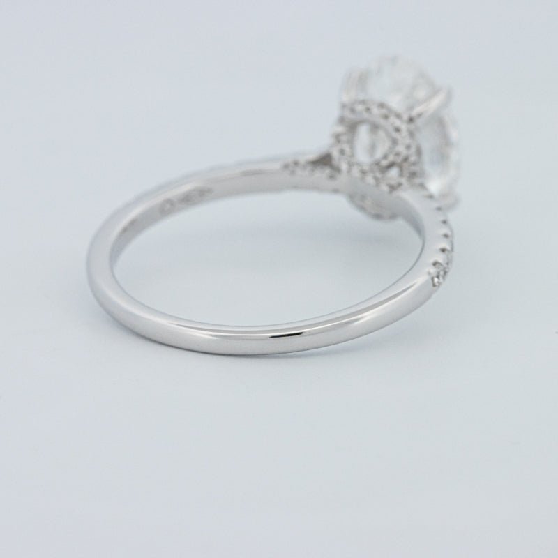 2 CT Oval Cut Under - Halo Pavé Solitaire (LG) - ZIZOV DIAMONDS
