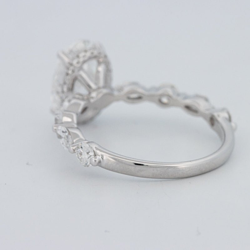 2 CT Oval Cut Under - Halo Pavé Solitaire (LG) - ZIZOV DIAMONDS