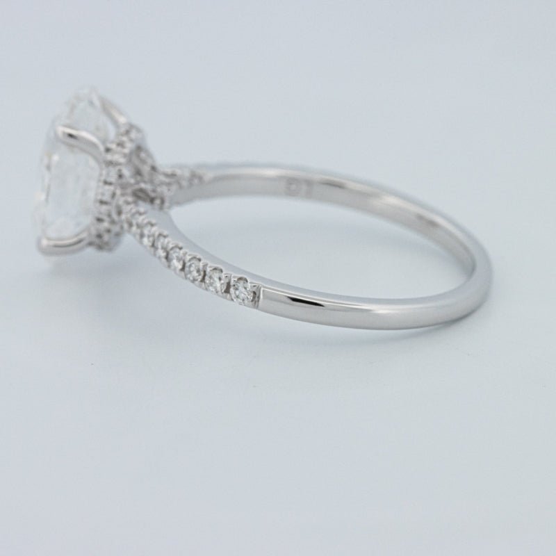 2 CT Oval Cut Under - Halo Pavé Solitaire (LG) - ZIZOV DIAMONDS