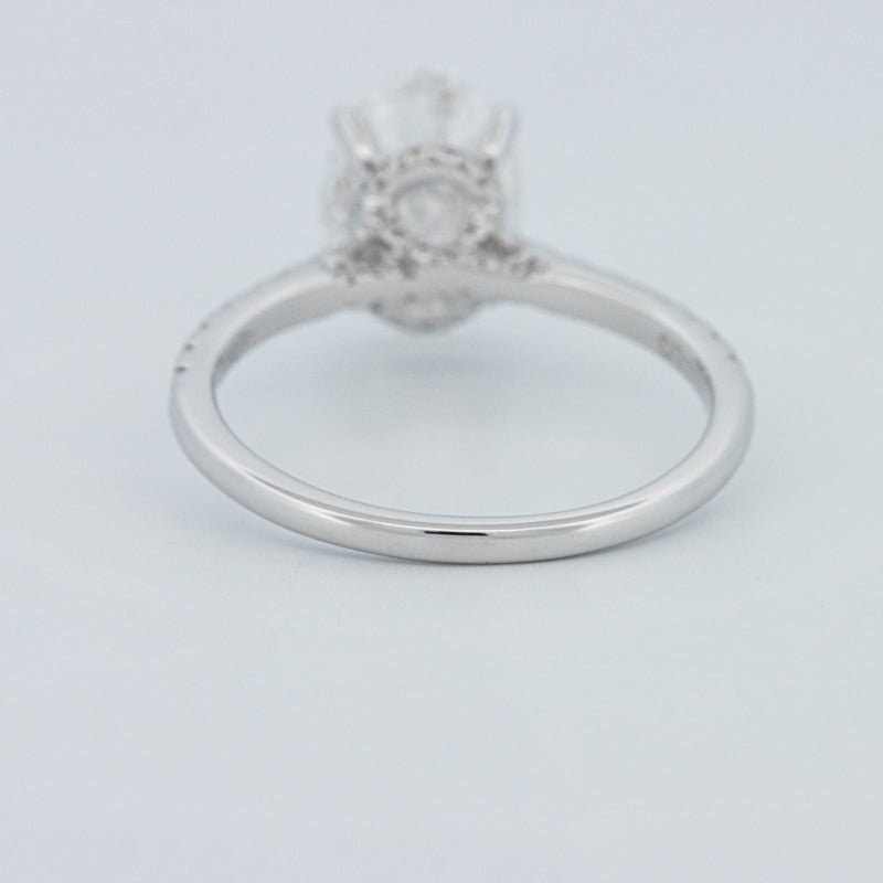 2 CT Oval Cut Under - Halo Pavé Solitaire (LG) - ZIZOV DIAMONDS