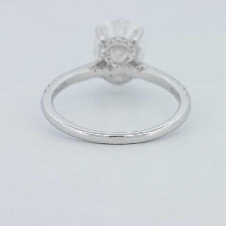 2 CT Oval Cut Under - Halo Pavé Solitaire (LG) - ZIZOV DIAMONDS