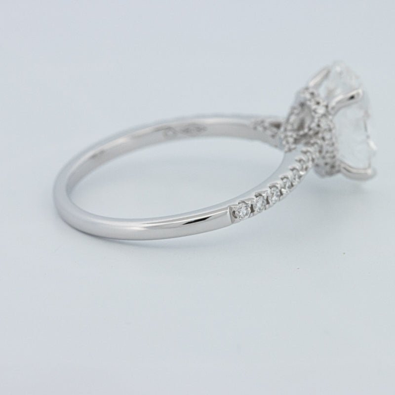 2 CT Oval Cut Under - Halo Pavé Solitaire (LG) - ZIZOV DIAMONDS