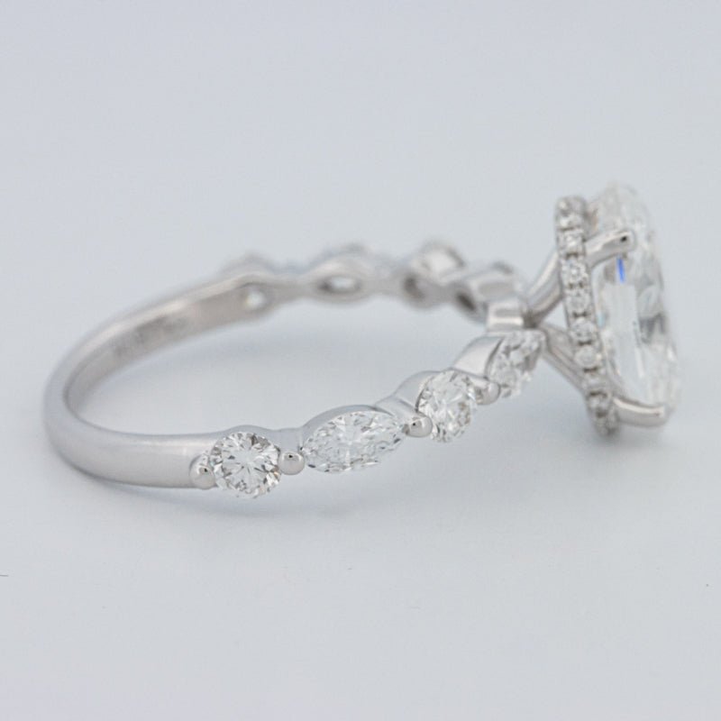 2 CT Oval Cut Under - Halo Pavé Solitaire (LG) - ZIZOV DIAMONDS