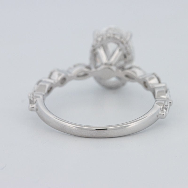 2 CT Oval Cut Under - Halo Pavé Solitaire (LG) - ZIZOV DIAMONDS