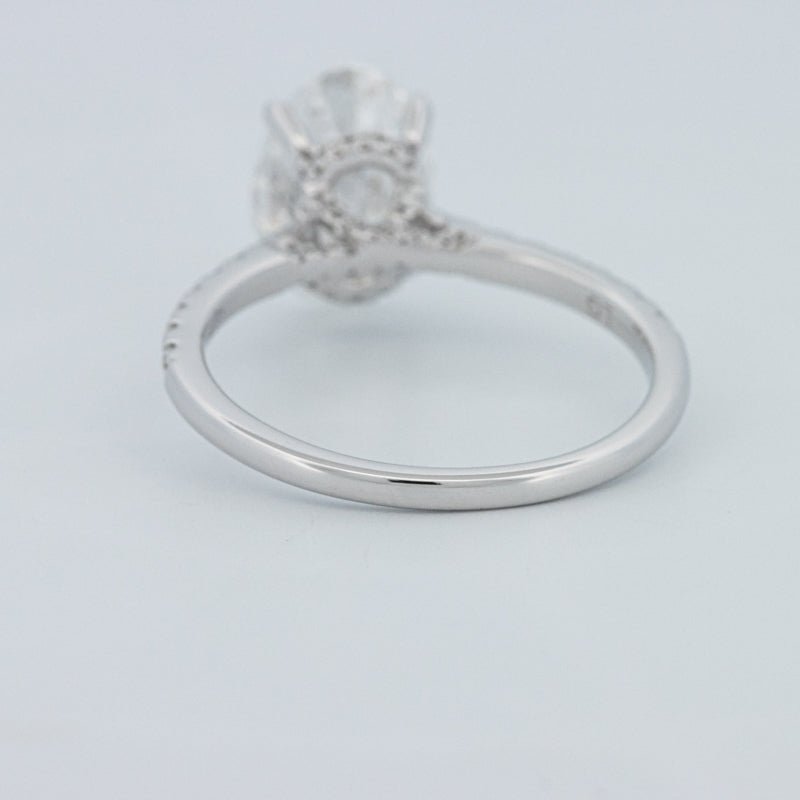 2 CT Oval Cut Under - Halo Pavé Solitaire (LG) - ZIZOV DIAMONDS