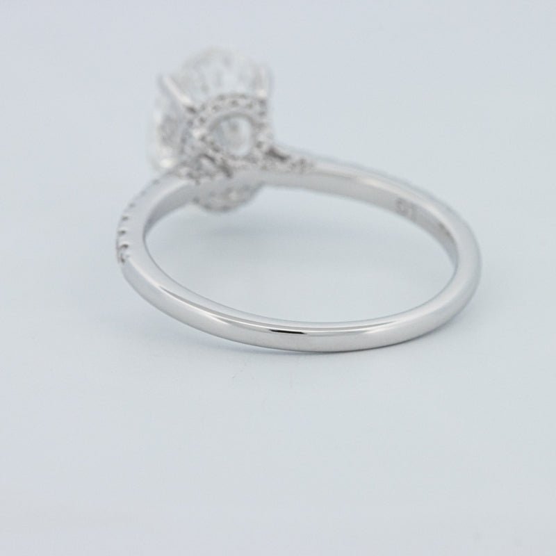 2 CT Oval Cut Under - Halo Pavé Solitaire (LG) - ZIZOV DIAMONDS