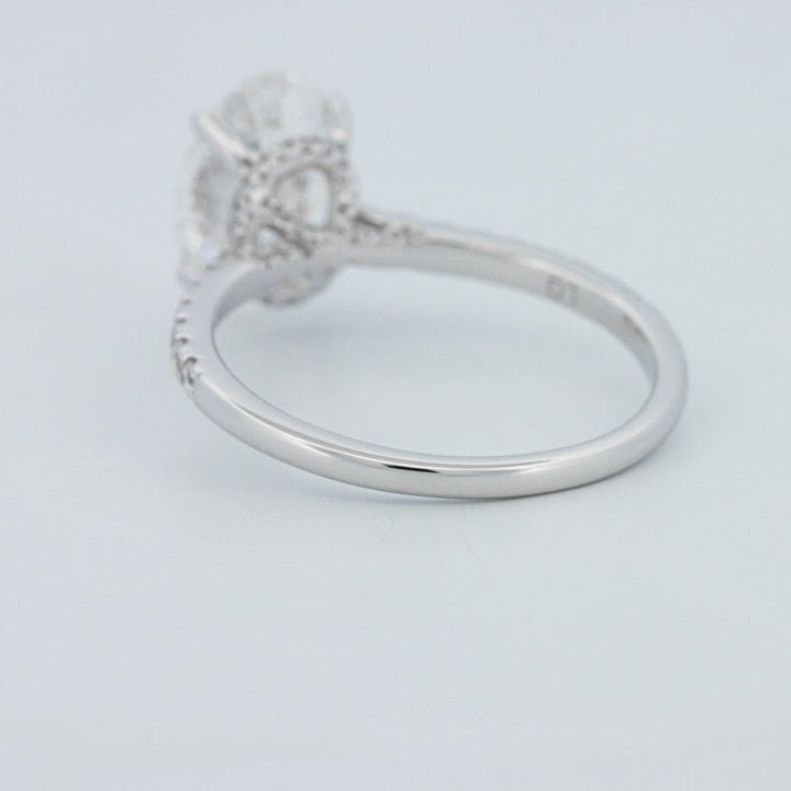 2 CT Oval Cut Under - Halo Pavé Solitaire (LG) - ZIZOV DIAMONDS
