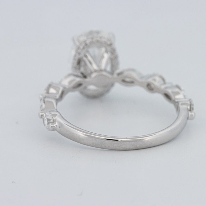 2 CT Oval Cut Under - Halo Pavé Solitaire (LG) - ZIZOV DIAMONDS